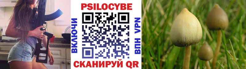 Псилоцибиновые грибы MAGIC MUSHROOMS  Купить где  Североуральск 